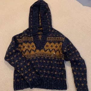 BDG Crop Hooded Sweater